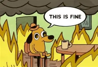 This Is Fine Meme